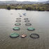 Aquaculture 2-Online