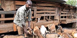 Bildad Rotich