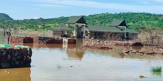 Lake Bogoria