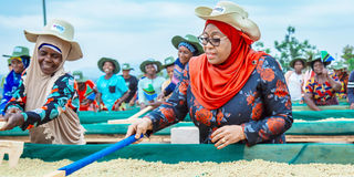 Samia coffee pic