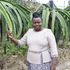 Dr Monicah Waiganjo