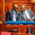 Rigathi Gachagua and Paul Muite