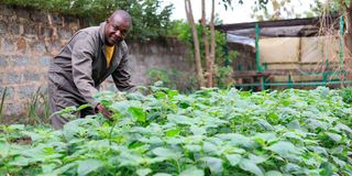 Samuel Nderitu