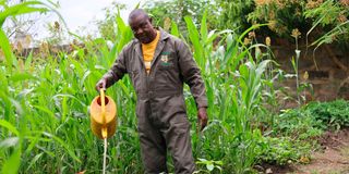 Samuel Nderitu