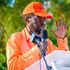 Peter Anyang' Nyong'o