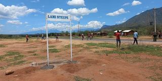 Lami Nyeupe