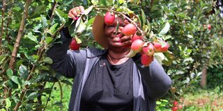 Rabecca Muli