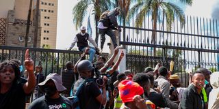 Protestors