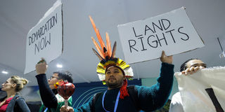 COP29