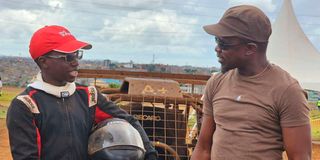 Cheche Ababu and Ababu Namwamba