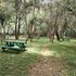 Sigiria picnic site karura forest