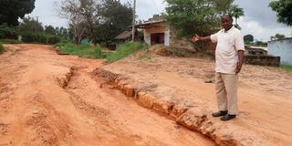 Shimba Hills