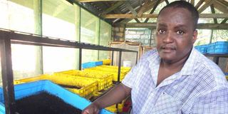 Paul Murage