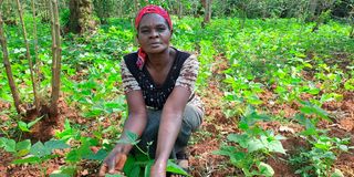Mary Khasoa