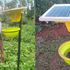 Pest traps