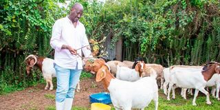 Joe Mwaniki