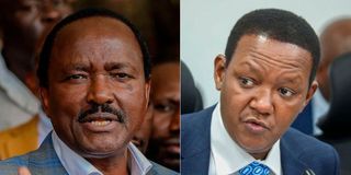 Kalonzo Musyoka and Alfred Mutua