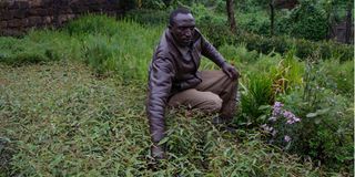 Daniel Ndung’u Munuhe