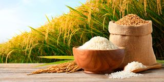 Rice