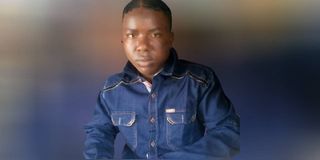 Francis Njue Mbadi 