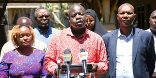 IEBC selection panel