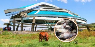 Karai fish market