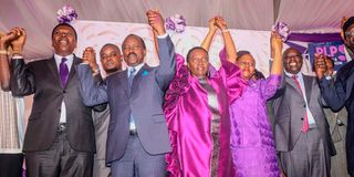 Opposition leaders