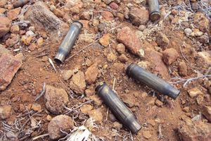 spent cartridges 