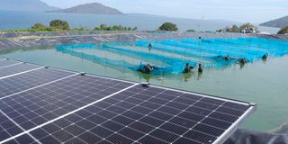 Solar panels