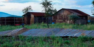 Meth lab in Namanga