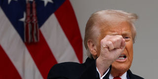 2025-04-02T213621Z_1056564244_RC2XPDAZGDSP_RTRMADP_3_USA-TRUMP-TARIFFS