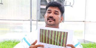 Sridhar Bhavani