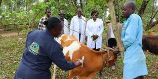 Anthrax vaccination