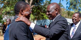 Moses Wetang'ula and William Ruto