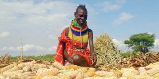 Farmer