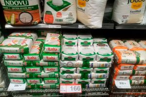 Maize flour 