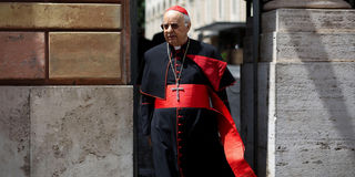 Cardinal Lorenzo Baldisseri