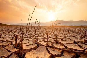 Climate change