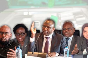 IEBC nominees