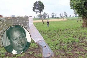Mbiyu Koinange land 