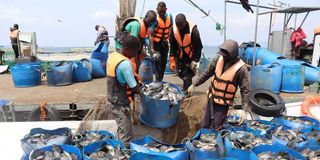 Fish farming