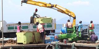Fish farming