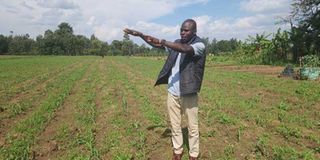 Eugene Wafula