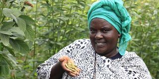 Rosina Muteti