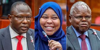 IEBC nominees