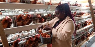Anne Njoroge