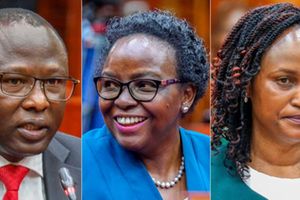 IEBC nominees 