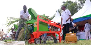 Elijah Mwangi