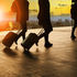 travellers