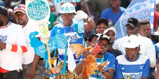 Leopards fans